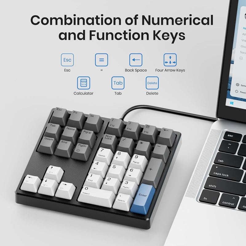 Kisnt Mechanical Number Pad,Hot Swappable Numpad with Gateron Switches,34 Keys Wired USB Keypad White Backlit Numeric Keypad with PBT Keycaps for Laptop PC Compact Keyboards (Blue Switch) - Image 2